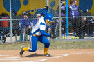 Walkersville High Softball
